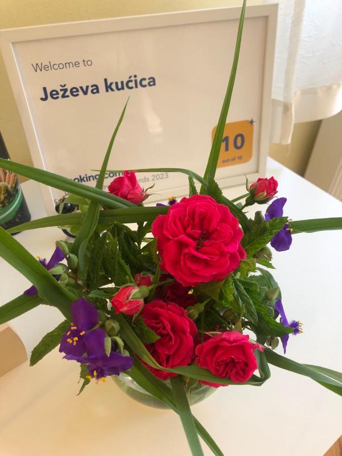 Hedgehog'S Home - Jezeva Kucica Free Parking SJJ Eksteriør bilde