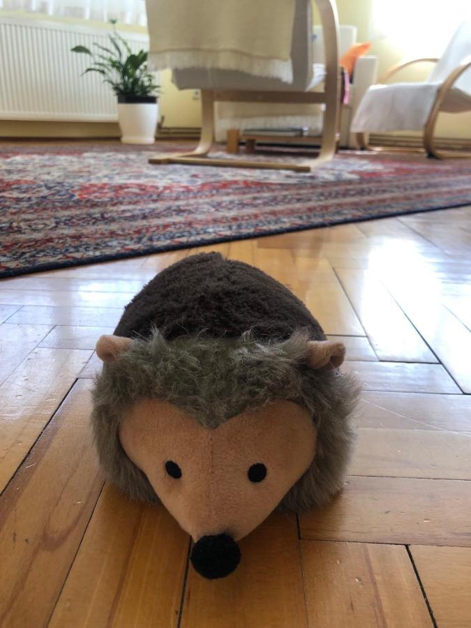 Hedgehog'S Home - Jezeva Kucica Free Parking SJJ Eksteriør bilde